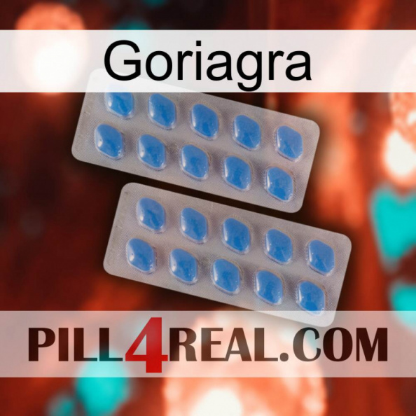 Goriagra 23